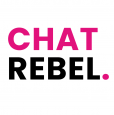 Succes met je Webshop is partner van Chat Rebel